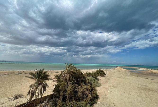 69575249 - صورة العقار 2