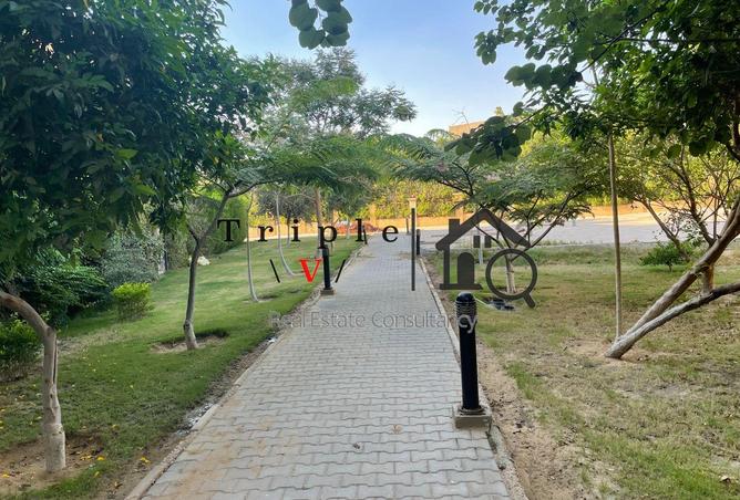 67733745 - صورة العقار 3