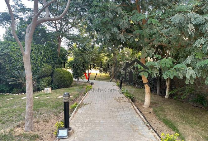 67733745 - صورة العقار 2