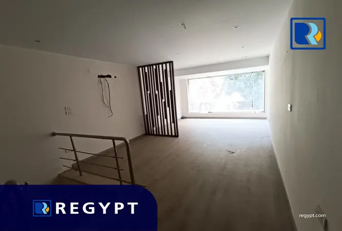 113256272 - صورة العقار 3