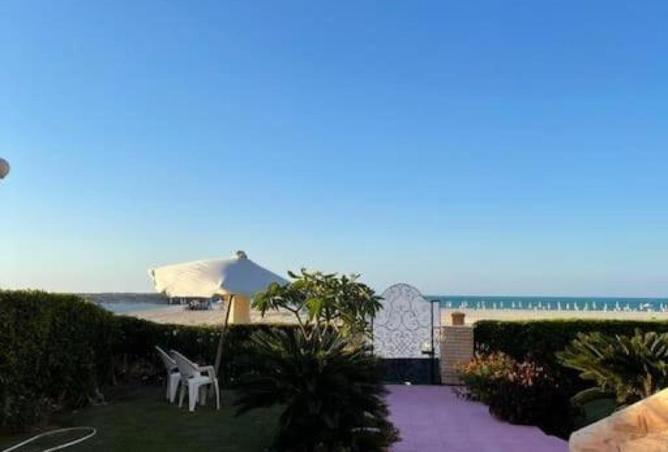 55747744 - Property Main Image