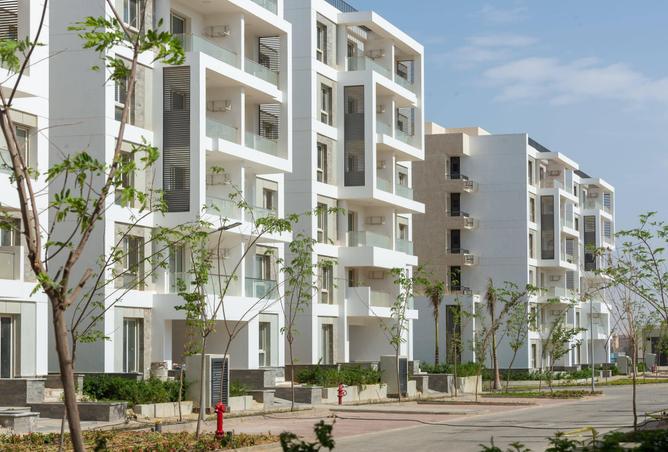 65166956 - صورة العقار 3