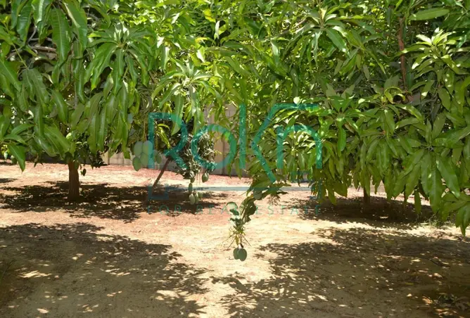 112978262 - صورة العقار 2