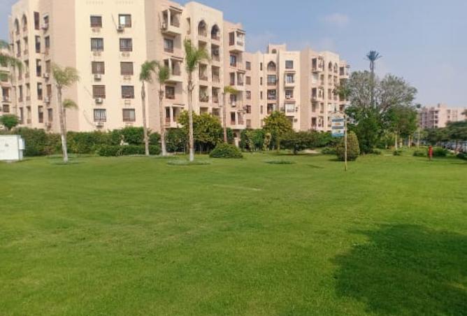 94914345 - صورة العقار 3