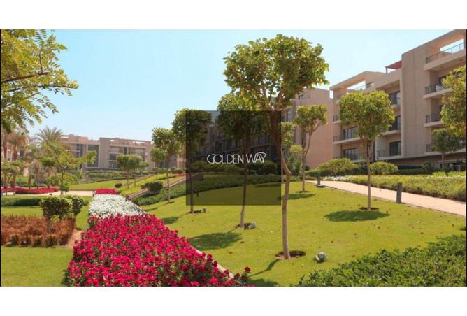 8497167 - صورة العقار 2