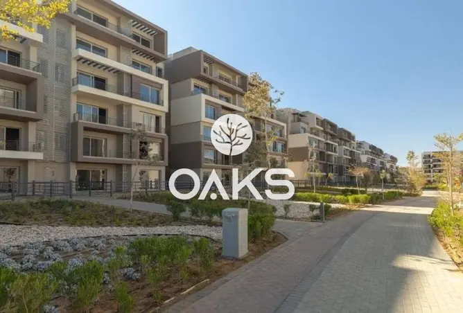 116235591 - Property Image 3