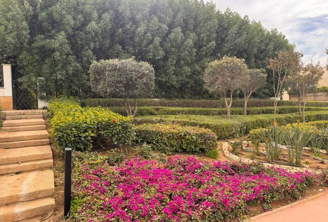 54761928 - الصورة الرئيسية للعقار