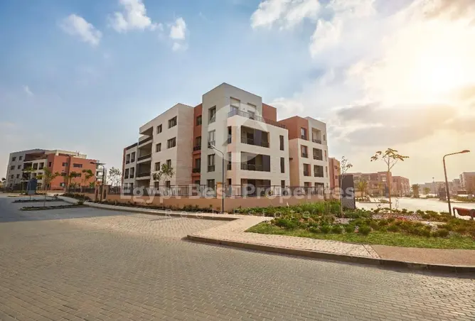 117282099 - Property Image 2