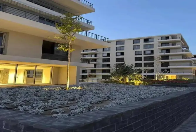 116750857 - Property Image 3