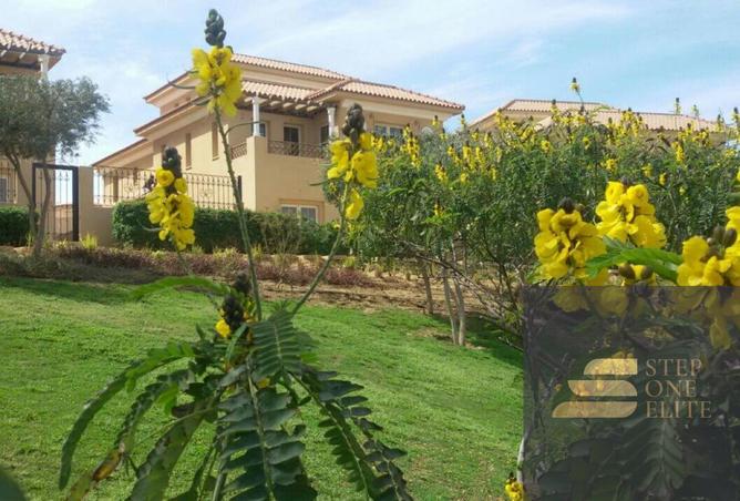 82096555 - صورة العقار 3