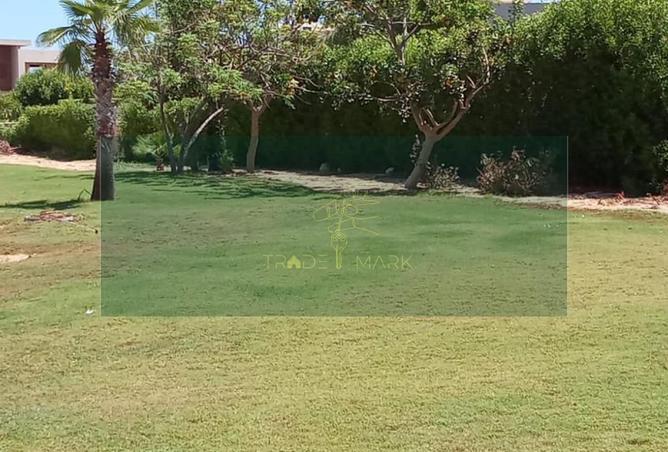 99110194 - صورة العقار 2
