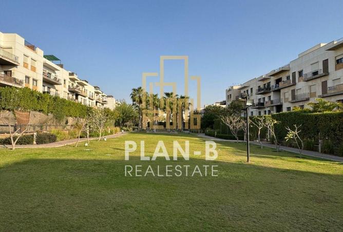 66696591 - Property Image 2