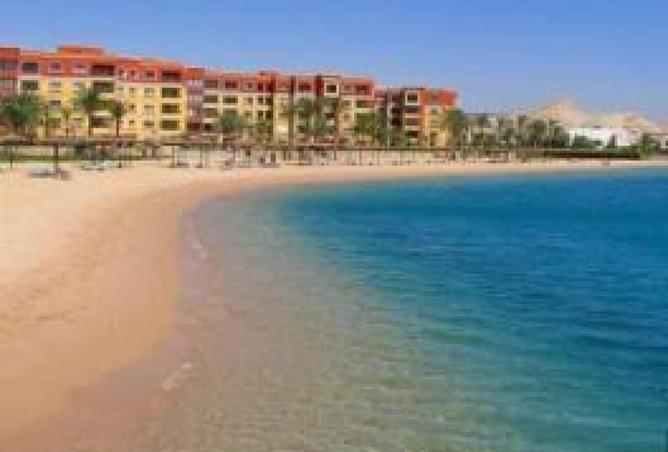 66174765 - صورة العقار 3