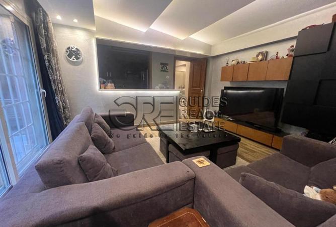 8491107 - Property Image 3