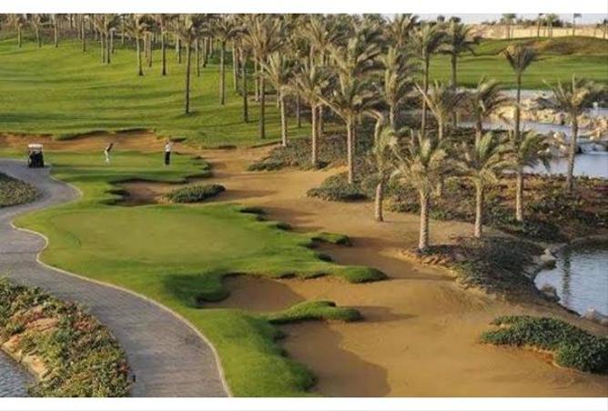 67729706 - صورة العقار 3