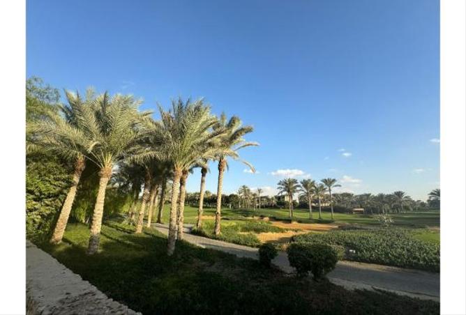 67729706 - صورة العقار 2