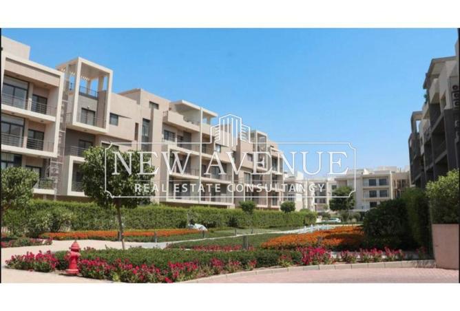 66698007 - Property Image 3