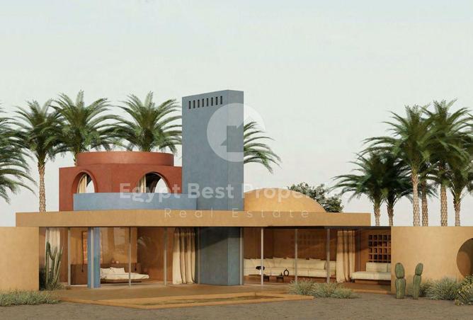 8470311 - صورة العقار 3