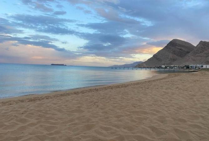 85061895 - صورة العقار 3