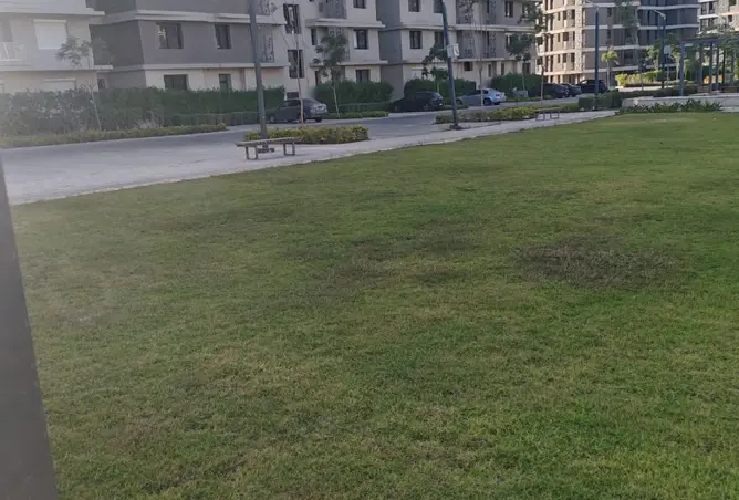 119839406 - صورة العقار 2