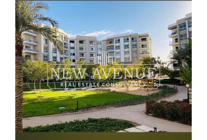 8664477 - Property Image 3