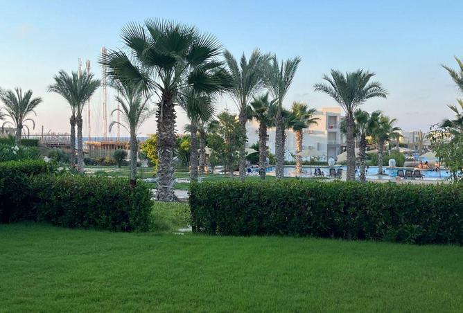 79717634 - صورة العقار 3