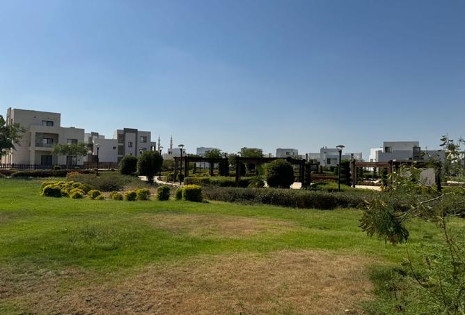 94645242 - Property Image 2