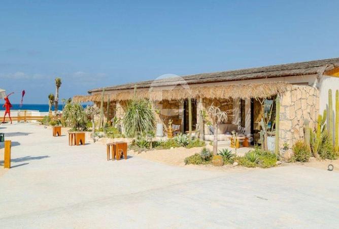 61449483 - صورة العقار 3