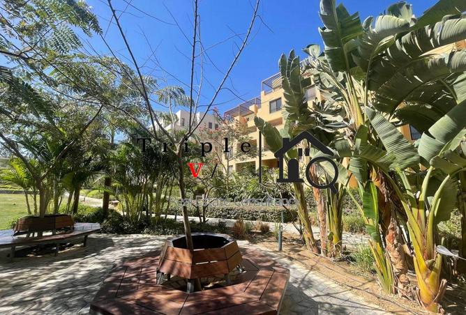 64903749 - Property Image 3