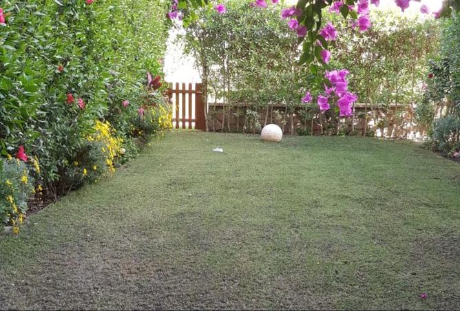 101499565 - صورة العقار 3
