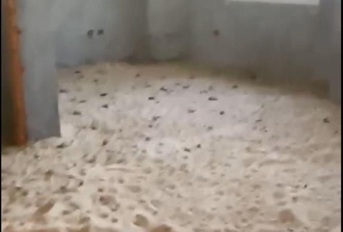 55005457 - صورة العقار 3