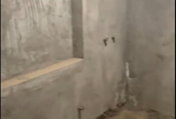 55005457 - صورة العقار 2