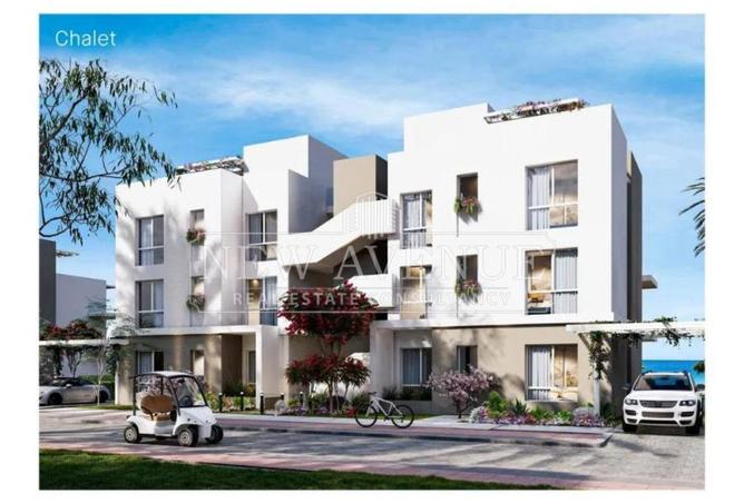 99398627 - Property Image 2