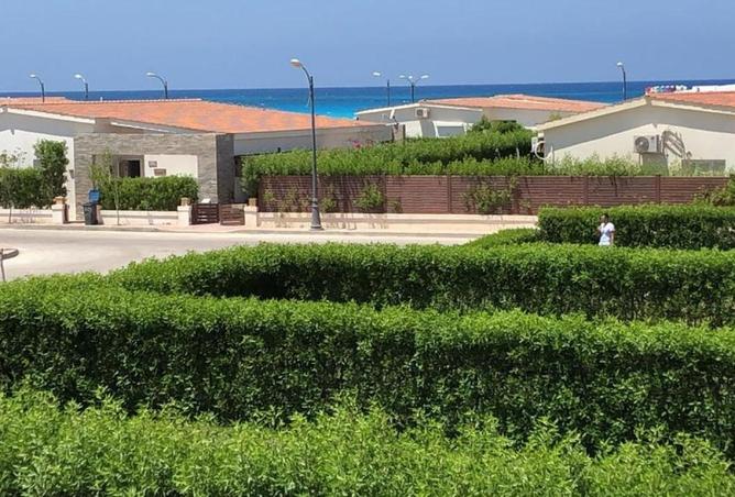 61209721 - صورة العقار 3