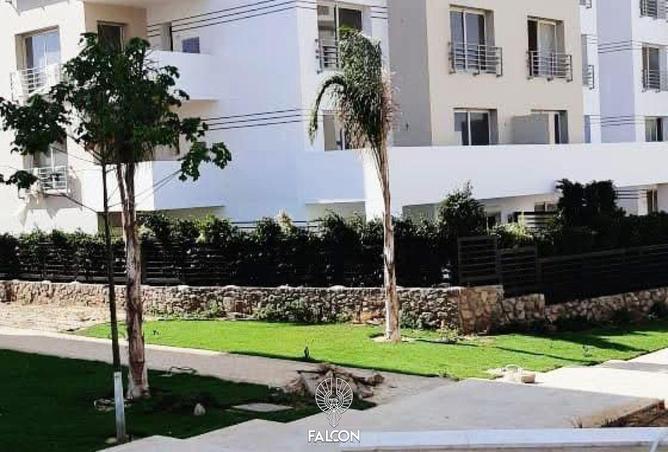 105742904 - Property Image 3
