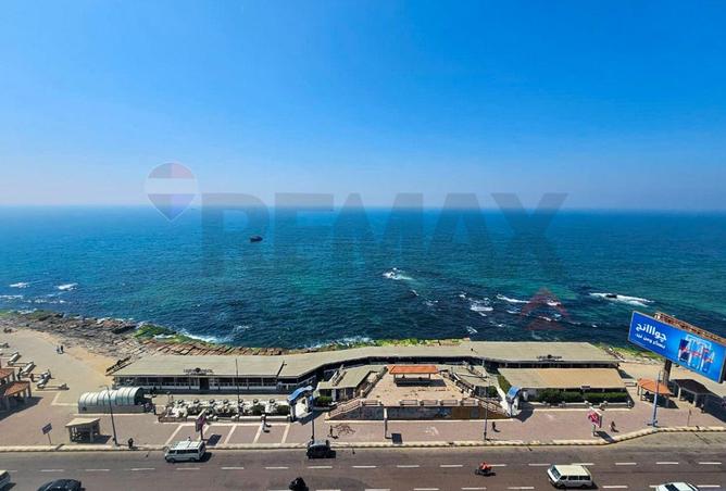 75955275 - Property Image 2