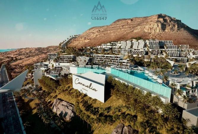 58997169 - الصورة الرئيسية للعقار