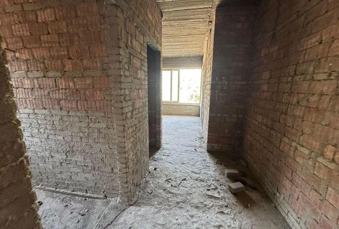 66435786 - Property Image 3