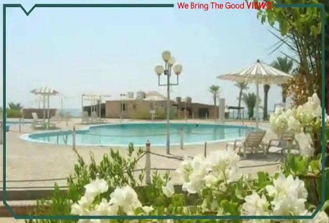 67221648 - صورة العقار 3