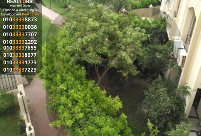 67996366 - صورة العقار 2