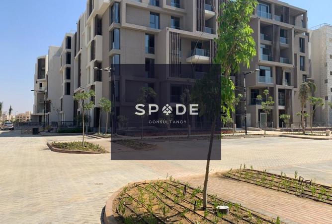 8605380 - Property Image 3