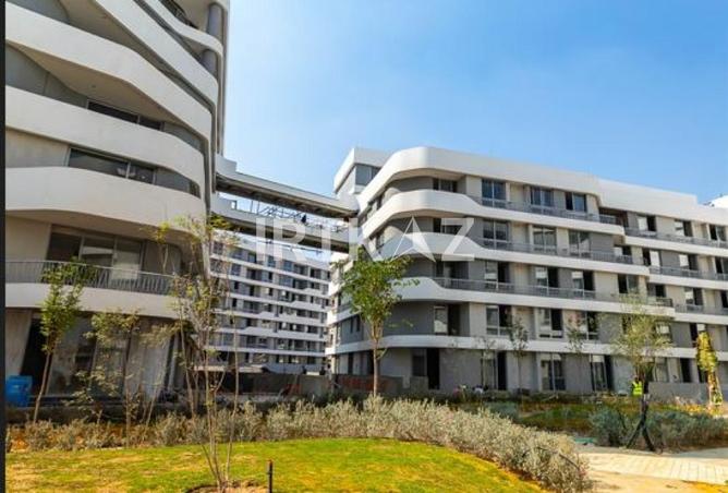 52457536 - Property Image 3