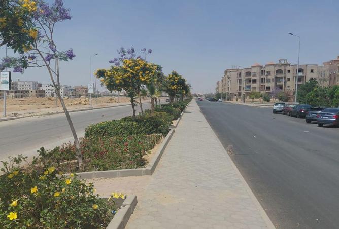 70370973 - صورة العقار 2