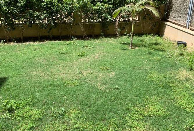 67472997 - صورة العقار 2