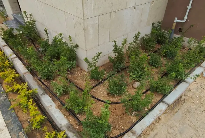 114885857 - صورة العقار 2