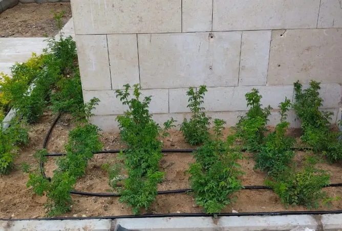 114885857 - صورة العقار 3