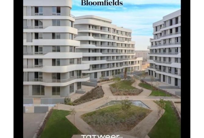 52973082 - Property Image 3