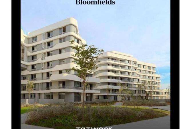 52973082 - Property Image 2