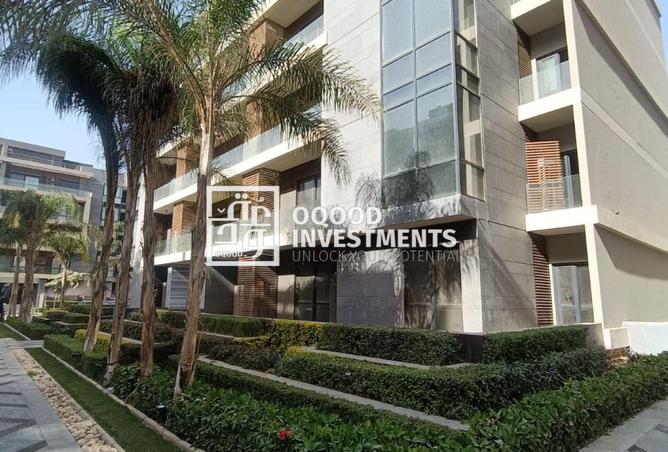 8497840 - Property Image 3