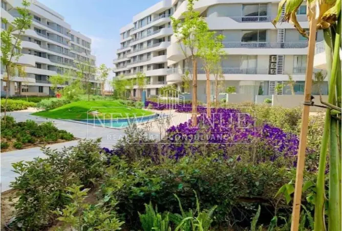113253137 - Property Image 3